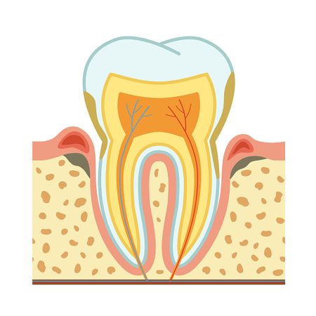 Interdisciplinary therapeutic possibilities for the treatment of endoperiodontal lesions: an integrative review