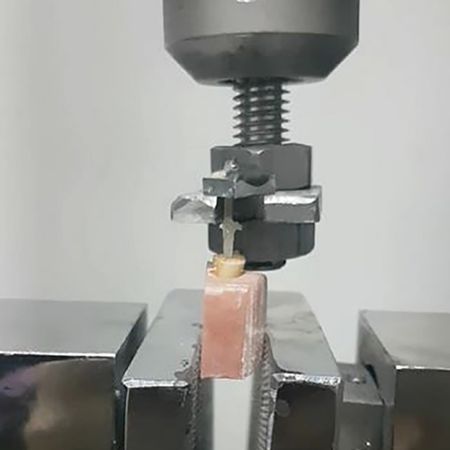 Efeito da aplicação do laser Er:YAG na rugosidade superficial e na resistência de união ao arrancamento de pinos de fibra de vidro com dois designs diferentes: estudo in vitro