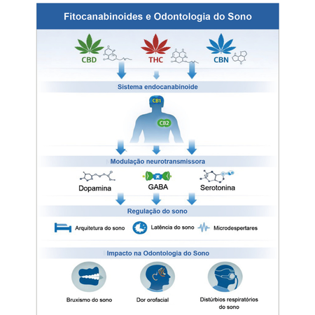 Modulation of the endocannabinoid system in Dental Sleep Medicine: health, longevity, and quality of life