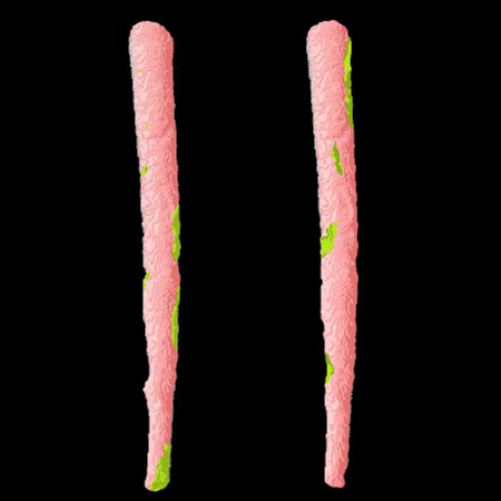 Physicochemical characteristics of EndoArt Bioceramic Root Canal Sealer®