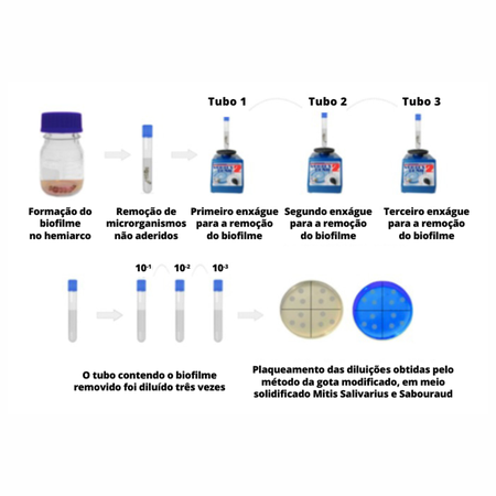 Avaliação in vitro da formação de biofilme de Streptococcus mutans e Candida albicans em alinhadores ortodônticos