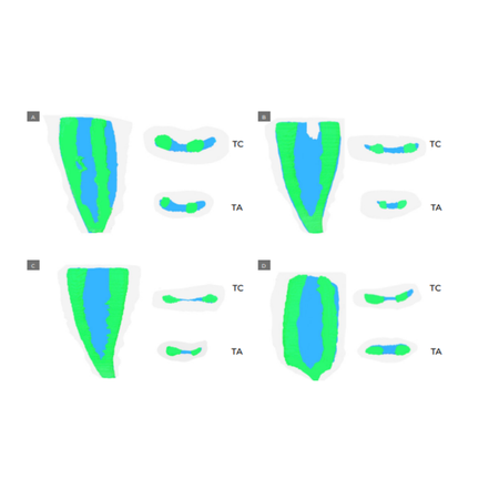 Endodontics 2024 v14n2