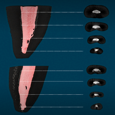 Entre evidência e engajamento: o papel da ciência na era digital