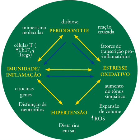 Periodontite e Hipertensão arterial: posicionamento conjunto da Sociedade Brasileira de Hipertensão (SBH) e da Sociedade Brasileira de Periodontia e Implantodontia (SOBRAPI)