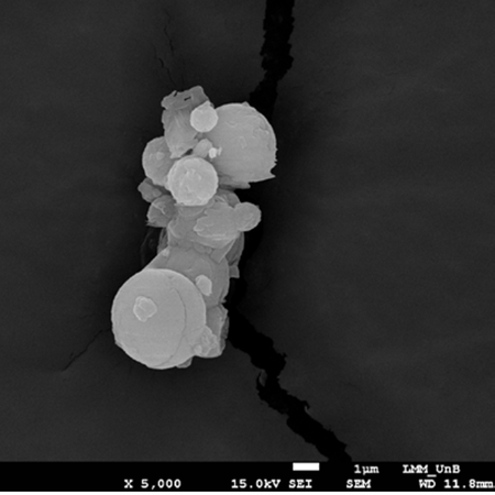INFLUENCE OF CHLORHEXIDINE-LOADED MICROSPHERES INCORPORATED INTO AN ORTHODONTIC ADHESIVE: DEGREE OF CONVERSION AND CYTOTOXICITY