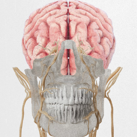 International update on bruxism: a new multidimensional perspective